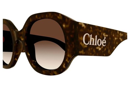 Ochelari de soare Chloe CH0234S 002 Rotunzi Havana