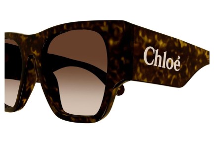 Ochelari de soare Chloe CH0233S 002 Pătrați Havana