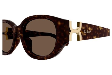 Ochelari de soare Chloe CH0237SK 002 Ovali Havana