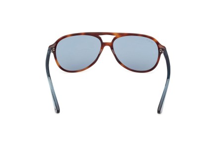 Ochelari de soare Web WE0368 56V Pilot Havana