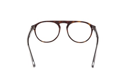 Ochelari Web WE5429 055 Rotunzi Havana