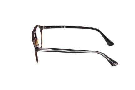 Ochelari Web WE5429 055 Rotunzi Havana