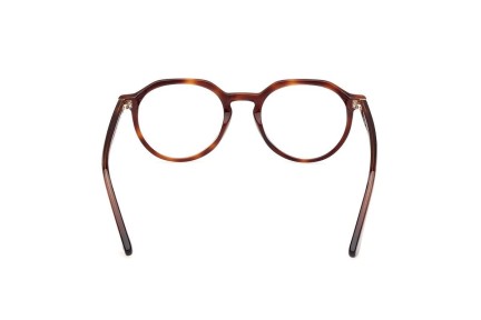 Ochelari Web WE5427 056 Rotunzi Havana