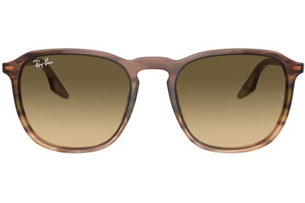 Ochelari de soare Ray-Ban RB2203 13920A Pătrați Maro