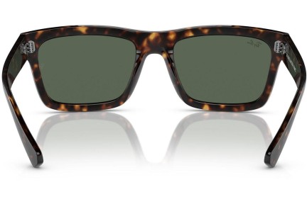 Ochelari de soare Ray-Ban Warren RB4396 135971 Dreptunghiulari Havana