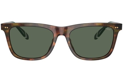 Ochelari de soare Polo Ralph Lauren PH4205U 501771 Pătrați Maro