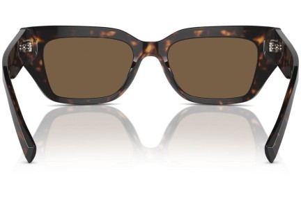 Ochelari de soare Dolce & Gabbana DG4462 502/73 Cat Eye Havana