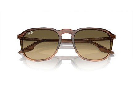 Ochelari de soare Ray-Ban RB2203 13920A Pătrați Maro