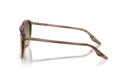 Ochelari de soare Ray-Ban RB2203 13920A Pătrați Maro