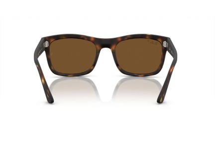 Ochelari de soare Ray-Ban RB4428 894/57 Polarized Pătrați Havana