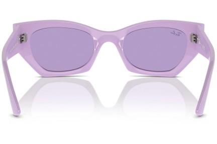 Ochelari de soare Ray-Ban RB4430 67581A Browline Violeți