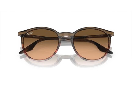 Ochelari de soare Ray-Ban RB2204 13953B Rotunzi Maro