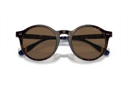 Ochelari de soare Polo Ralph Lauren PH4204U 500373 Rotunzi Havana