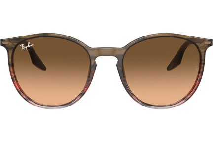 Ochelari de soare Ray-Ban RB2204 13953B Rotunzi Maro