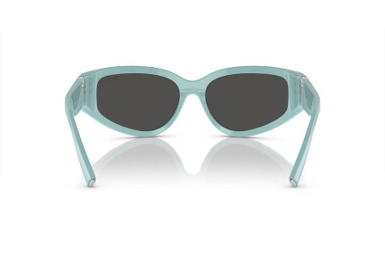 Ochelari de soare Tiffany & Co. TF4217 838887 Specială Albaștri