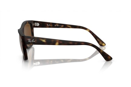 Ochelari de soare Ray-Ban RB4428 894/57 Polarized Pătrați Havana