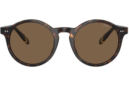 Ochelari de soare Polo Ralph Lauren PH4204U 500373 Rotunzi Havana