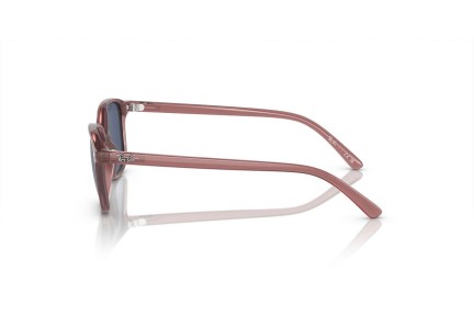 Ochelari de soare Ray-Ban Junior Junior Leonard RJ9093S 715680 Pătrați Roz