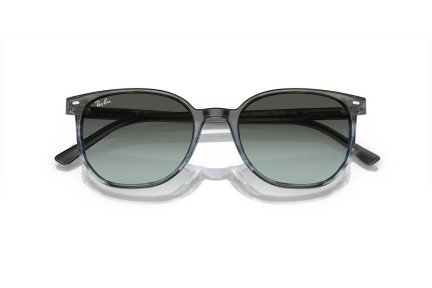 Ray-Ban Elliot RB2197 1391GK