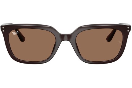 Ochelari de soare Ray-Ban RB4439D 623173 Pătrați Maro