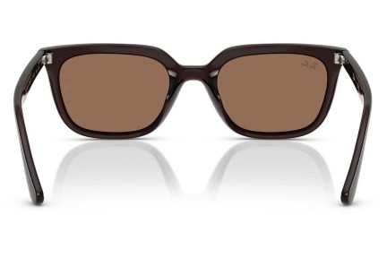 Ochelari de soare Ray-Ban RB4439D 623173 Pătrați Maro