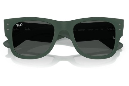 Ochelari de soare Ray-Ban RB4840S 665787 Pătrați Verzi