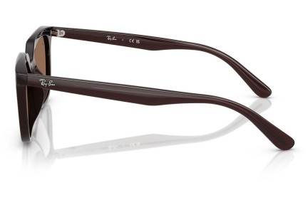 Ochelari de soare Ray-Ban RB4439D 623173 Pătrați Maro