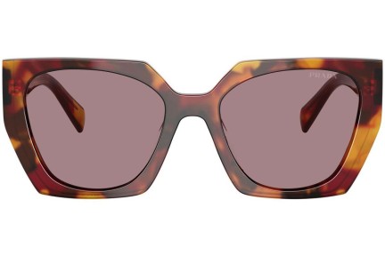 Ochelari de soare Prada PR15WSF 22A20I Dreptunghiulari Havana