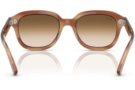 Ochelari de soare Ray-Ban Erik RB4398 140351 Pătrați Maro