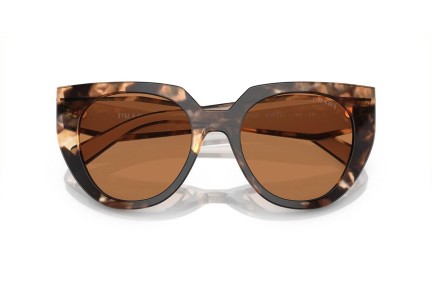 Ochelari de soare Prada PR14WS 01R2Z1 Cat Eye Havana