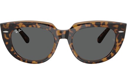 Ochelari de soare Ray-Ban RB2286 1292B1 Pătrați Havana