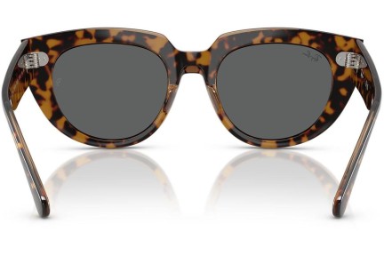 Ochelari de soare Ray-Ban RB2286 1292B1 Pătrați Havana