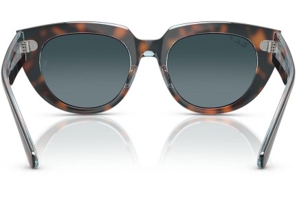 Ochelari de soare Ray-Ban RB2286 1413S3 Polarized Pătrați Havana