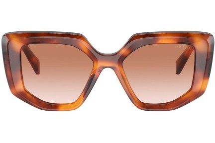 Ochelari de soare Prada PR14ZS 18R70E Specială Havana