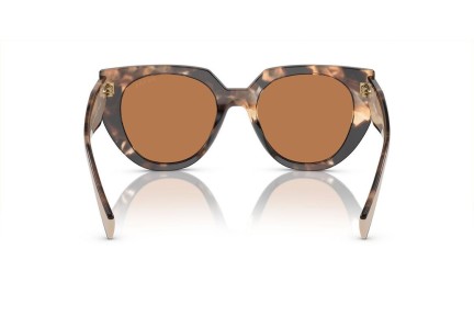 Ochelari de soare Prada PR14WS 01R2Z1 Cat Eye Havana