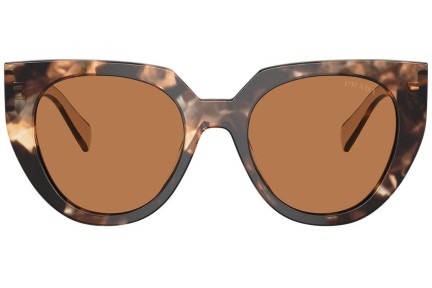 Ochelari de soare Prada PR14WS 01R2Z1 Cat Eye Havana