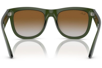 Ochelari de soare Ray-Ban Wayfarer Reverse RBR0502S 6775CB Pătrați Verzi