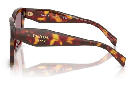 Ochelari de soare Prada PR24ZSF 22A20I Pătrați Havana