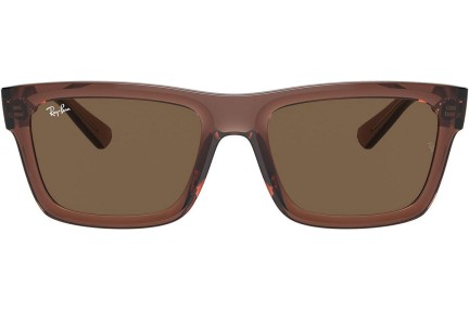 Ochelari de soare Ray-Ban Warren RB4396 667873 Dreptunghiulari Maro