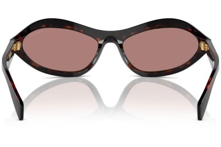 Ochelari de soare Prada PRA20S 17N10D Specială Havana