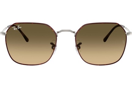 Ochelari de soare Ray-Ban Jim RB3694 92700A Pătrați Gri