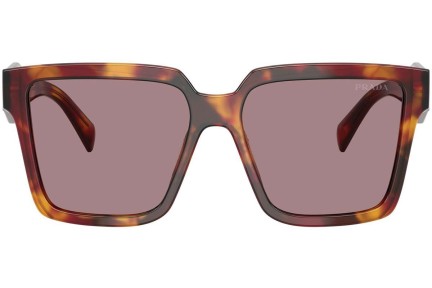 Ochelari de soare Prada PR24ZS 22A20I Pătrați Havana