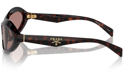 Ochelari de soare Prada PRA20S 17N10D Specială Havana