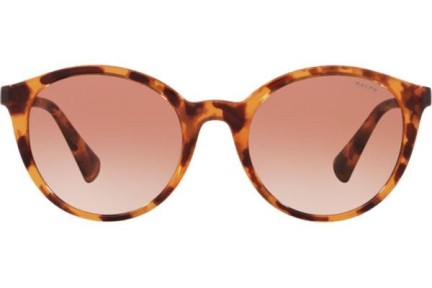 Ochelari de soare Ralph by Ralph Lauren RA5273 588513 Rotunzi Havana