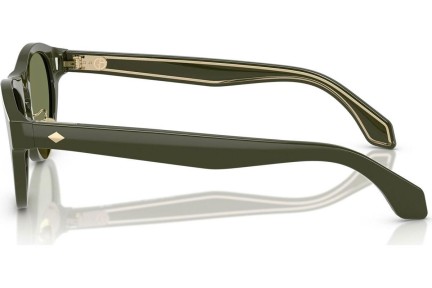 Ochelari de soare Giorgio Armani AR8225 61932A Cat Eye Verzi