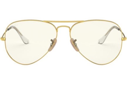 Ray-Ban Aviator Everglasses RB3025 001/5F