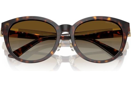 Ochelari de soare Jimmy Choo JC5032D 5002T5 Polarized Cat Eye Havana