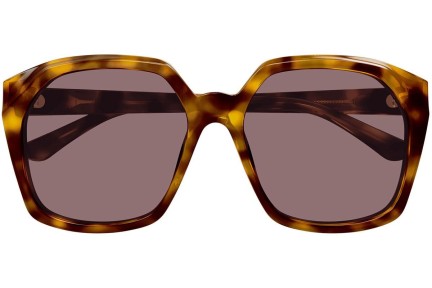 Ochelari de soare Chloe CH0280S 004 Pătrați Havana