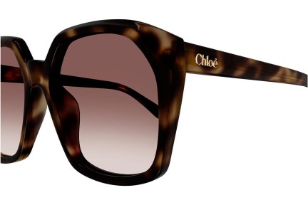 Ochelari de soare Chloe CH0280S 006 Pătrați Havana