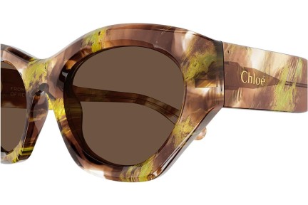 Ochelari de soare Chloe CH0220S 010 Cat Eye Havana